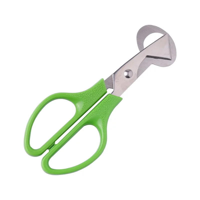 1 шт. ножницы для яиц инструменты открывания Слайсеры птиц голубей Перепелиных