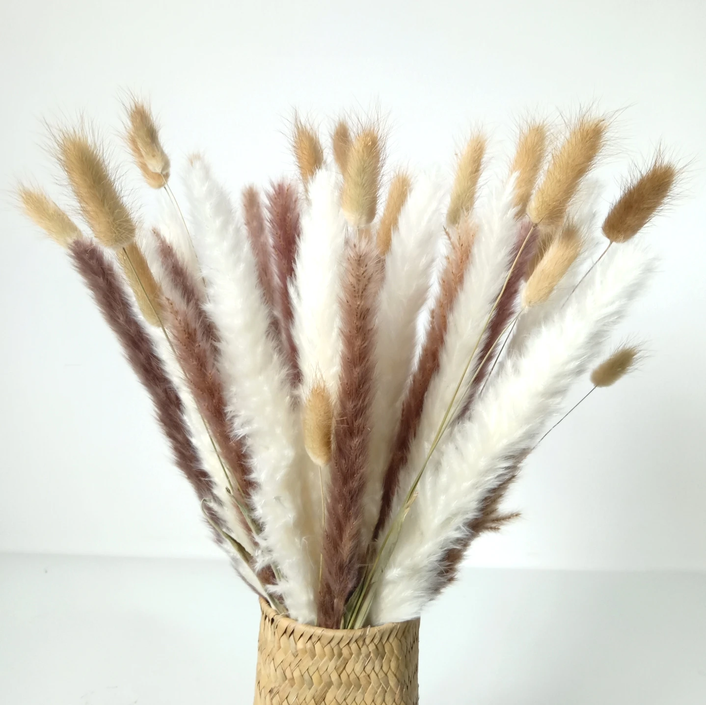 

Dried Natural and White Pampas Grass Flower Bouquet,Bunny Tail Grass| Lagurus Ovatus Perfect for Home Decor, Flower Arrangements