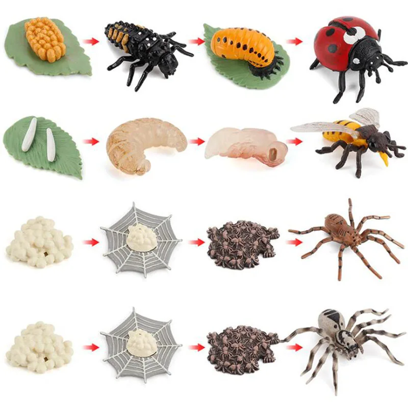 

Моделирование фигурки животных, детские игрушки, цикл роста насекомых, украшения, паук, Леди Баг, паук, пчела, игрушки для разведки