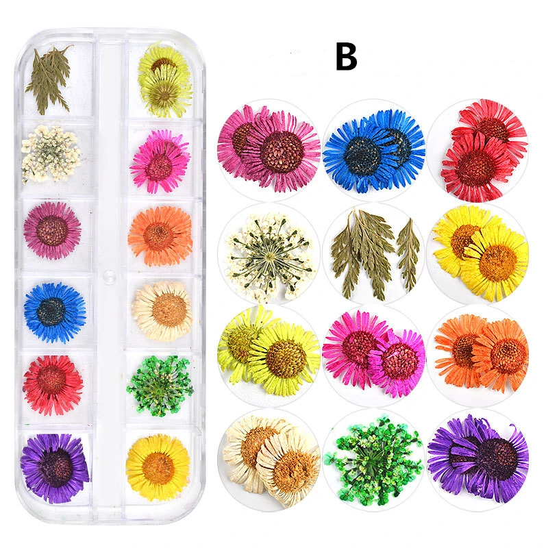 1 коробка сухих цветов для дизайна ногтей Декорирование серия 24 шт. | Украшения и
