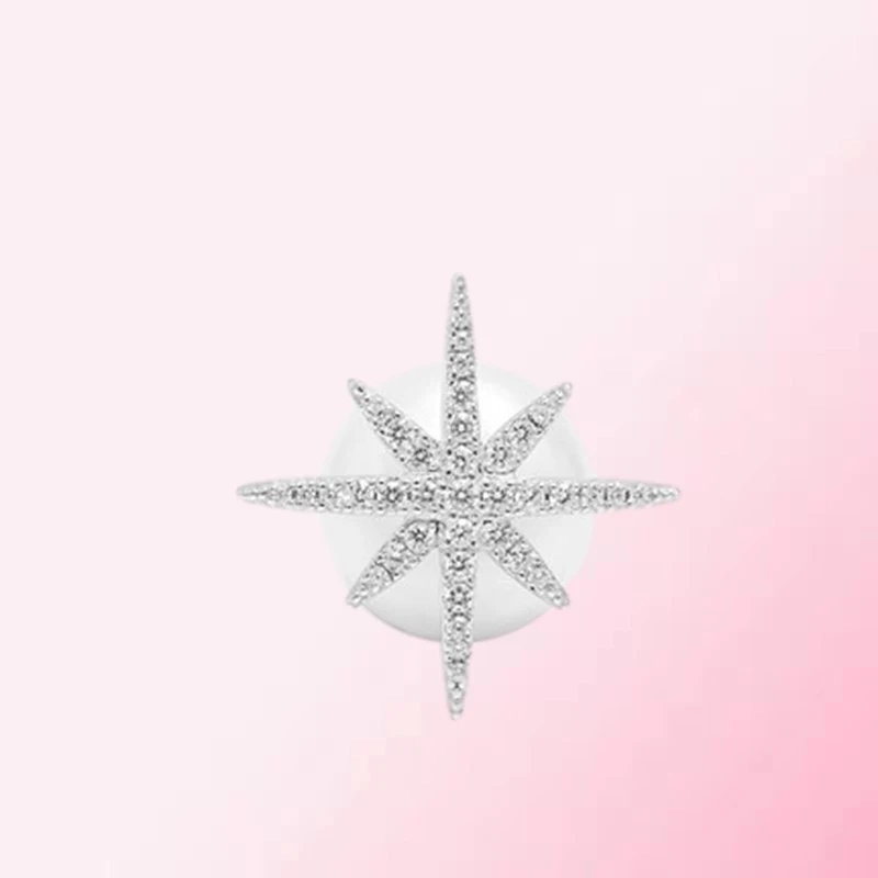 

925 Sterling Silver Custom Octagonal Star Personality Earrings AE9109XPL