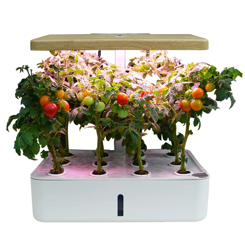 Smart flower pot Интеллектуальный соиллесс выращивание цветочный горшок гидропонный горшок для помещений для овощей, огородная Цветочная Детская техника заполняющий свет - Цвет: Smart flower pot