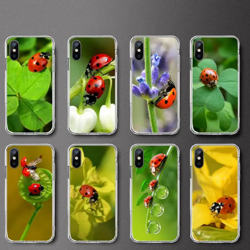 

Four leaf clover ladybug Phone Case Transparent soft For iphone 12 11 13 7 8 6 s plus x xs xr pro max mini
