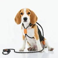 7 2ft dog leash service lead training padded handle reflective nylon leather adjustable puppy rope small dog leash