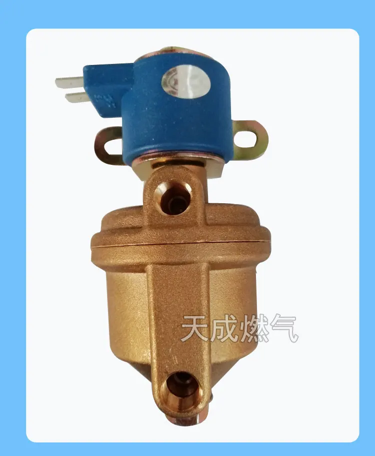 LPG The electromagnetic valve Control valve - Цвет: Черный