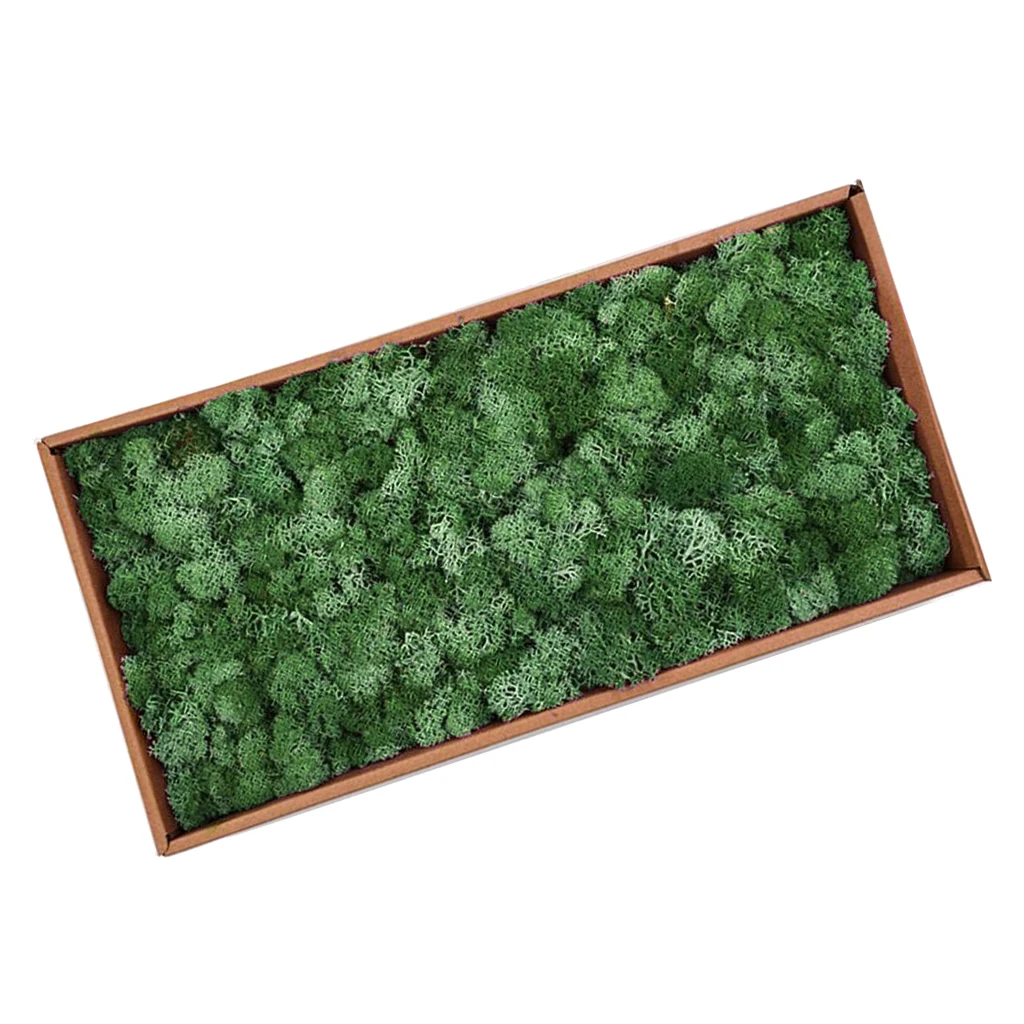 Dark Green 38x19x10 Натуральный норвежский олень мох консервированный сушеные ремесла цветок для цветов Трава растения для дома и сада Гирлянда Свадебная вечеринка - Цвет: Dark Green 38x19x10