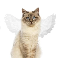 pet decorations cute feather angel wing costume for puppy kitten halloween party dog cat dress up wings clothes pets supplies
