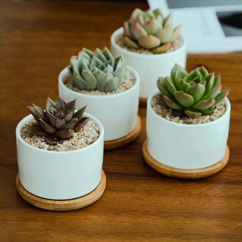 

4 шт., горшок для растений, суккулентов, цветочный поднос, Горшечное растение, круглый цветочный горшок, белый фарфор, домашний сад, балкон, на...