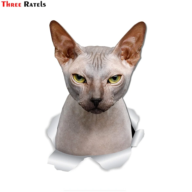 

Three Ratels FTC-1095 Sphynx Cat Wall Decal Toilet Sticker 3D Car Window And Bumper