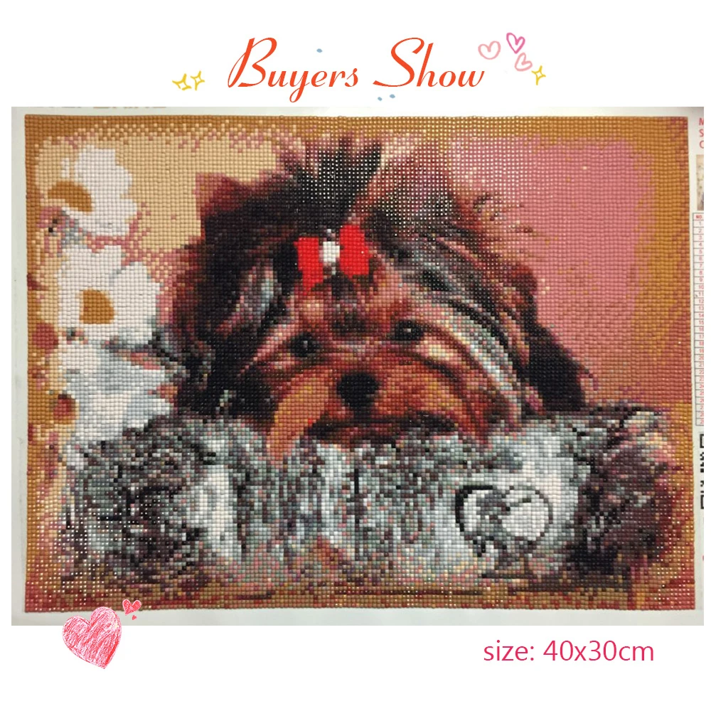 EverShine 5D алмазная вышивка полная выкладка квадратный алмаз картины стразами