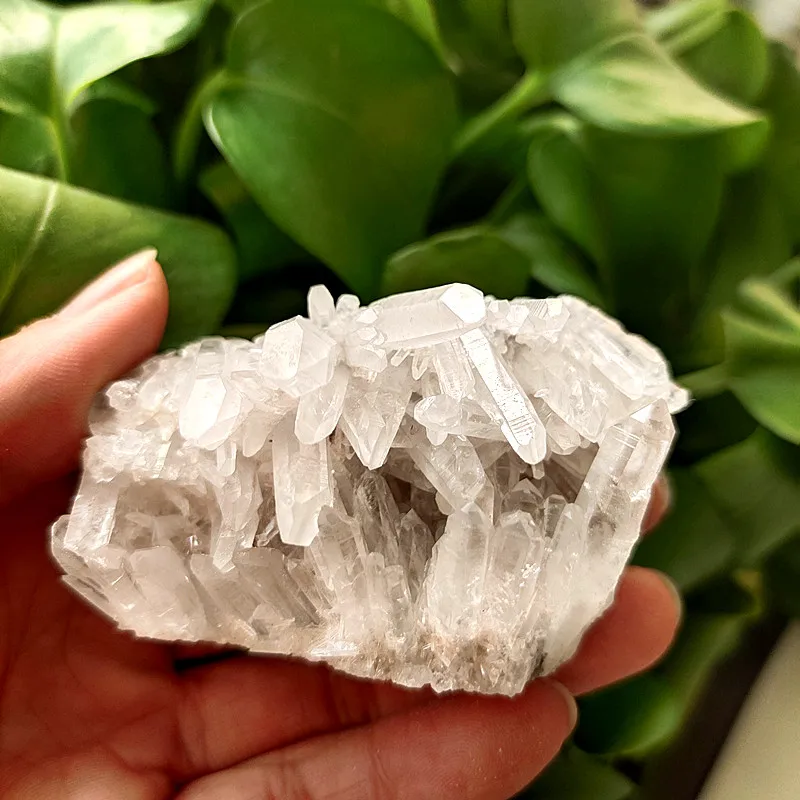 

100% Natural crystal chrysanthemum stone crystal cluster Specimen of open crystal clusters home decorated stones crystals