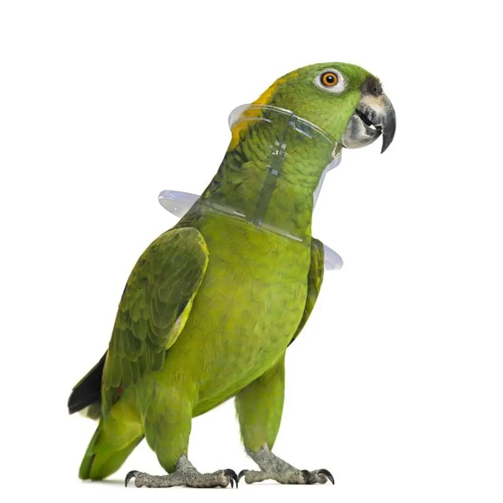 Защитный ошейник для попугаев с птицами антиперьевое кольцо захвата