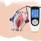 Массажер для Вагины и губ с электрическим током, зажим для стимуляции клитора и вагины для кошки, интимная игрушка для мастурбации