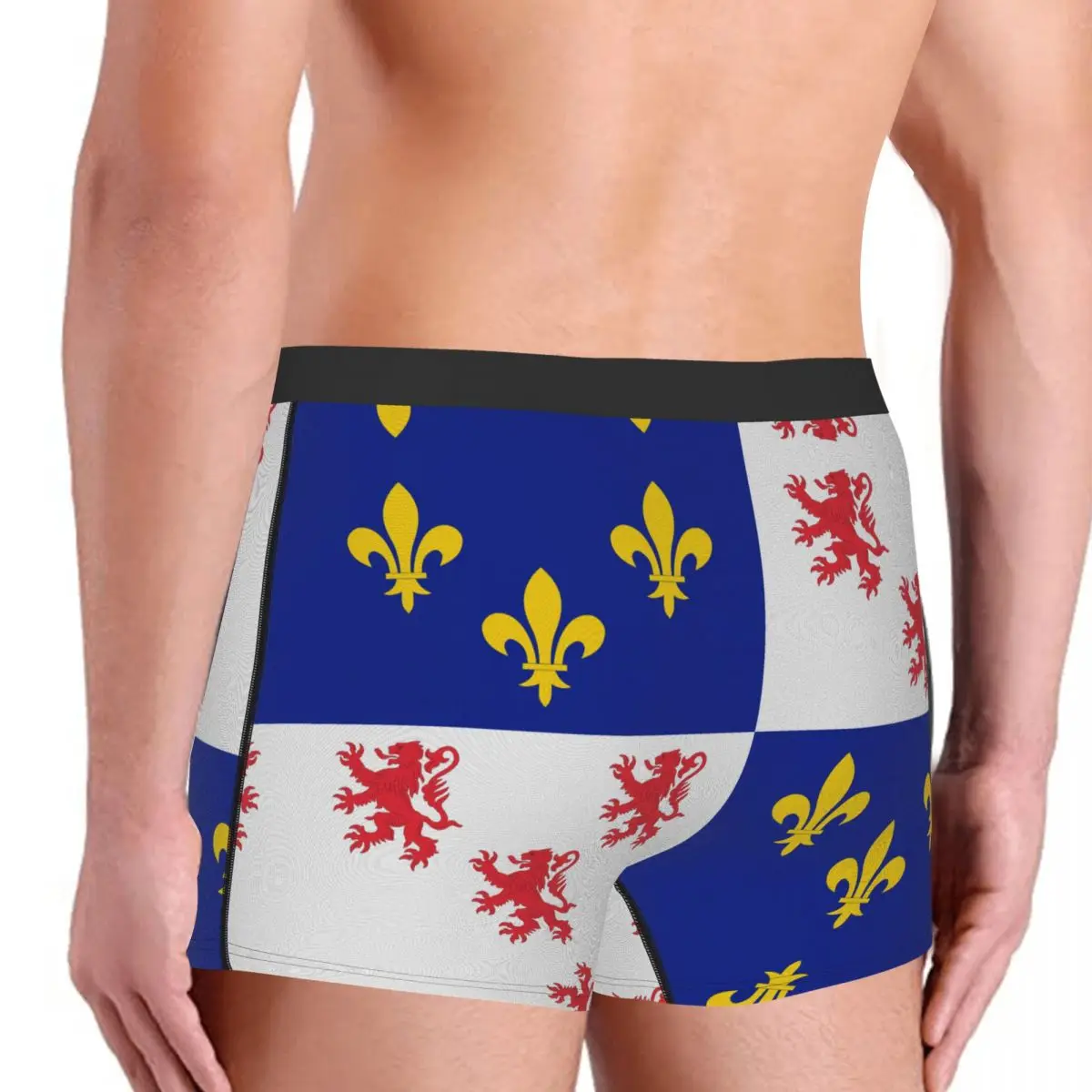 Flag Of Picardie Men's Boxer Briefs Flags of the regions of France Nerd elastic pants for men
