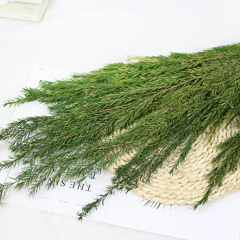 

60cm Tall Everlasting Flower Melaleuca Real Flower Dried Flowers With Grass And Leaves without shipping 10.21