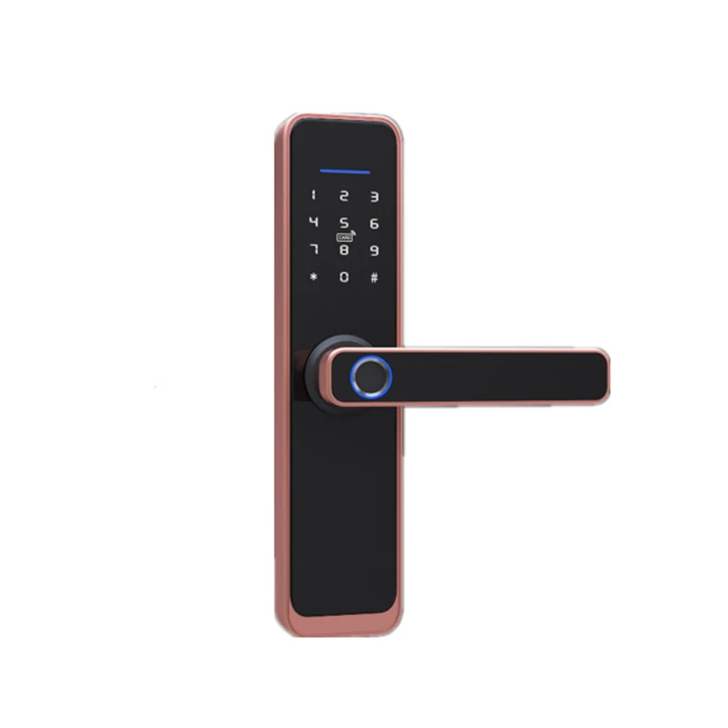 Конкурентоспособная цена интеллектуальная S801 Tuya Wifi дистанционный пароль ключ IC