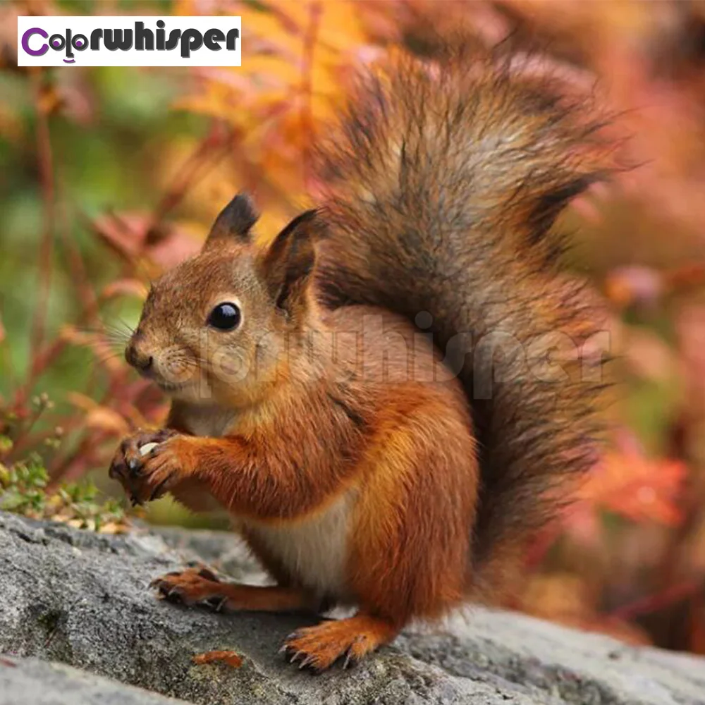 Алмазная картина полностью квадратная/круглая дрель белка 5D Daimond вышивка Крест