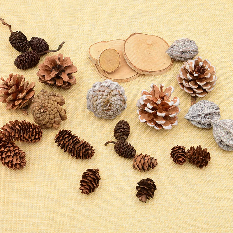 

Сенсорная корзина для сокровищ из материала Монтессори, сосновая шишка, эвристическая игра, доступны различные темы, сенсорная коробка