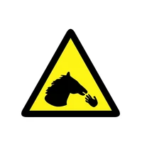 Lovely Caution Do Not Feed Fingers To The Horse KK Reflective Car Sticker Waterproof Laser Decal Pvc 138CM X 124CM