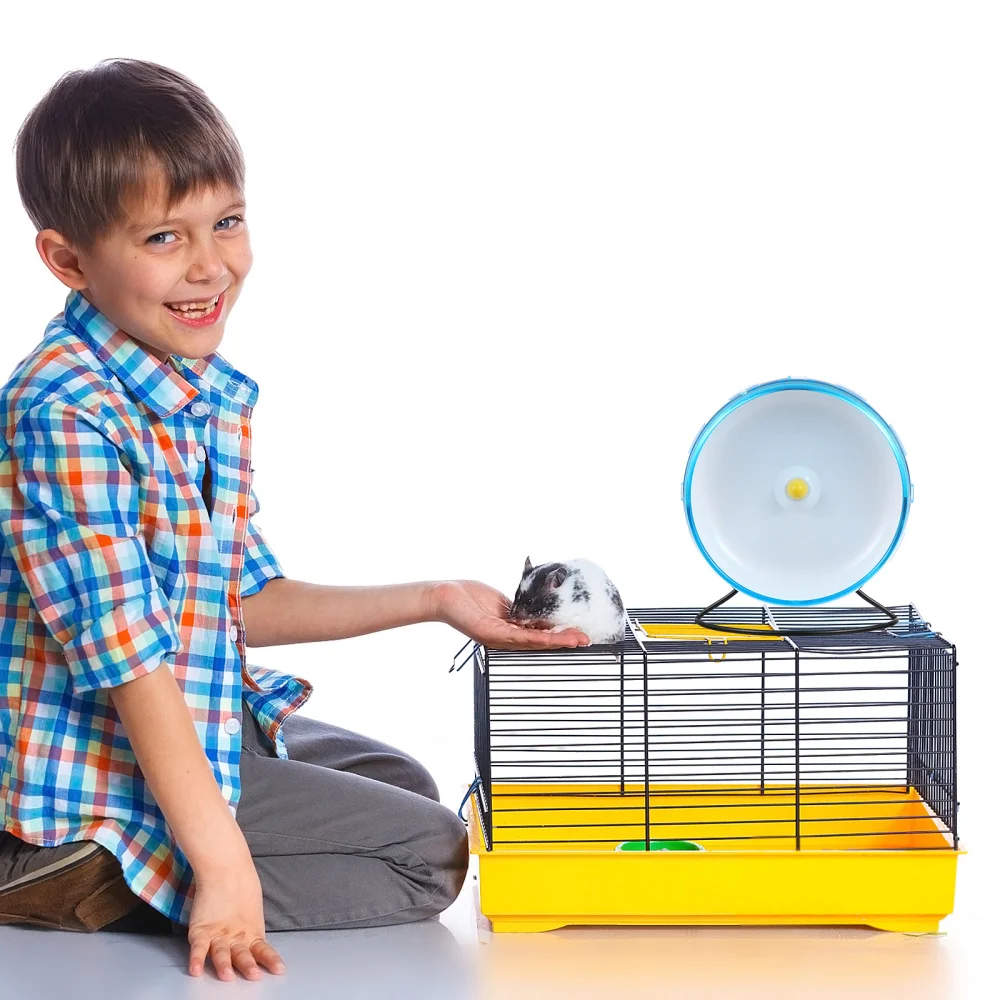 

Small Pet Hamster Rat Running Exercise Wheel Silent Jogging