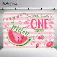 watermelon birthday backdrop pink summer fruit sweet one in a melon girl 1st birthday party decor photography background shoot