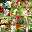 Алмазная живопись 5D сделай сам, картина с животными, вышивка крестиком, квадратная, круглая, для творчества, домашний декор, ручное искусство, подарок