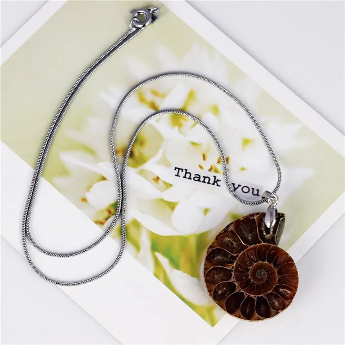 Аммонит Ископаемых Камень Инкрустация Кулон Neckalces Цепи Змейки Исцеление Чакра