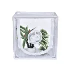 ПВХ мини-завод теплицы многофункциональные садовые растения горшки Защитная крышка цветок укрытие от насекомых клетка для домашней птицы