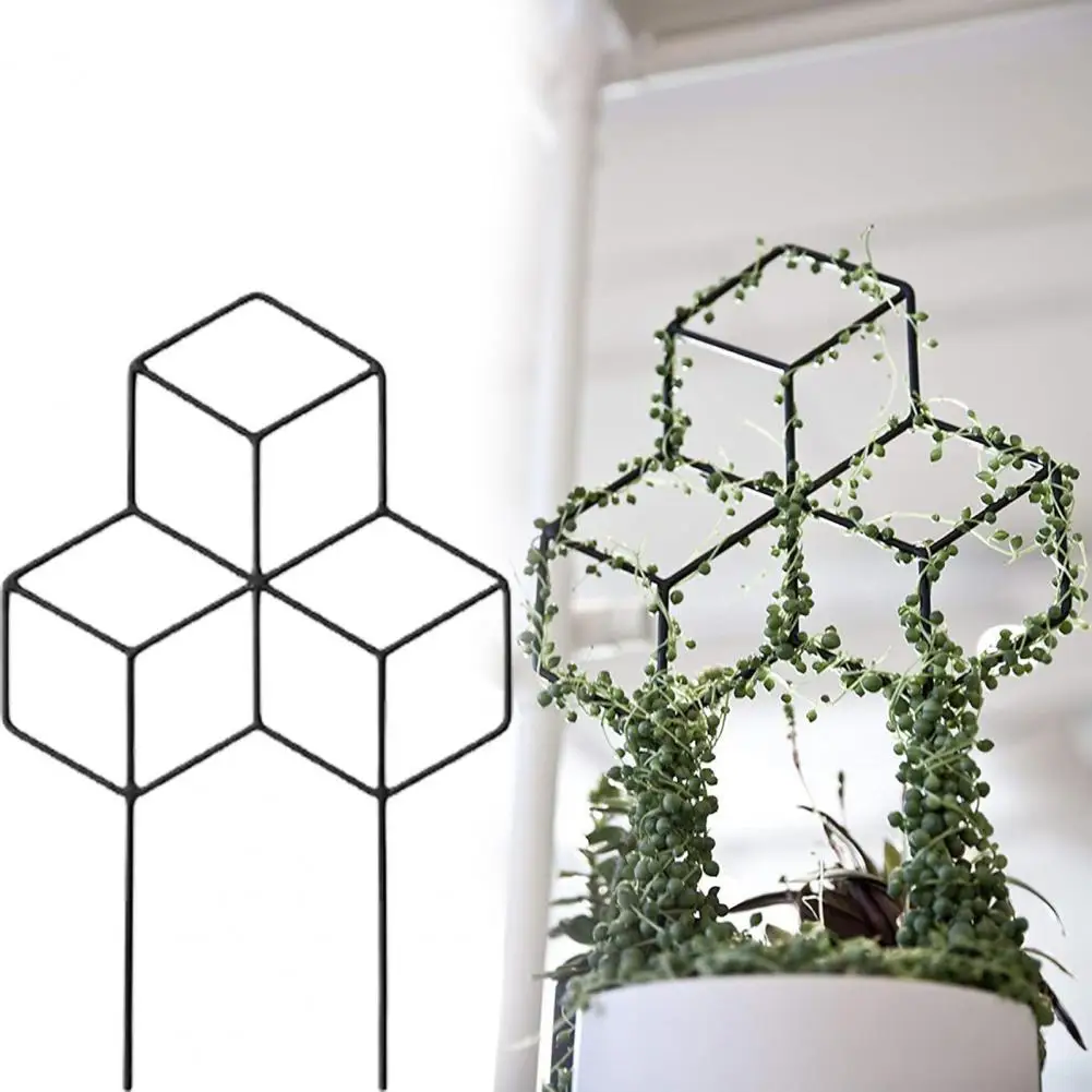 

Plant Supports Exquisite Workmanship Square Shaped Wide Usage Metal Gardening Plants Support Frame for Eggplants