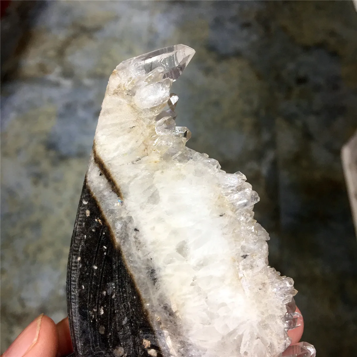 1 шт. милые натуральные белые хрустальные Стеганные зубы ручная резьба поделки