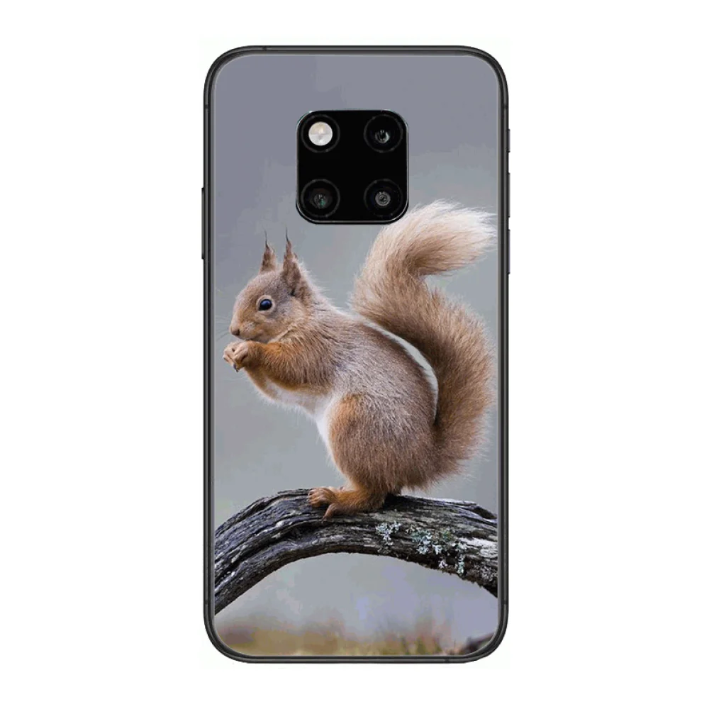 

Cute animals, funny and interesting, does it look like you-frosted anti-drop phone case Phone Case For Huawei mate 30 10 20 40