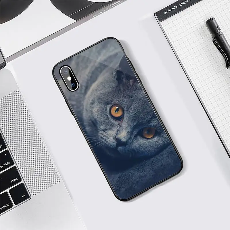 

cat animal Webbedepp British Shorthair Phone Case Tempered glass For iphone 5C 6 6S 7 8 plus X XS XR 11 PRO MAX