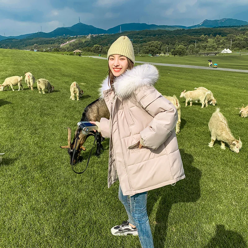 Clothes Women Winter Coat  Puffer Jacket Big Fur Collar 2021 New Loose Korean Version Thickened Student Bread