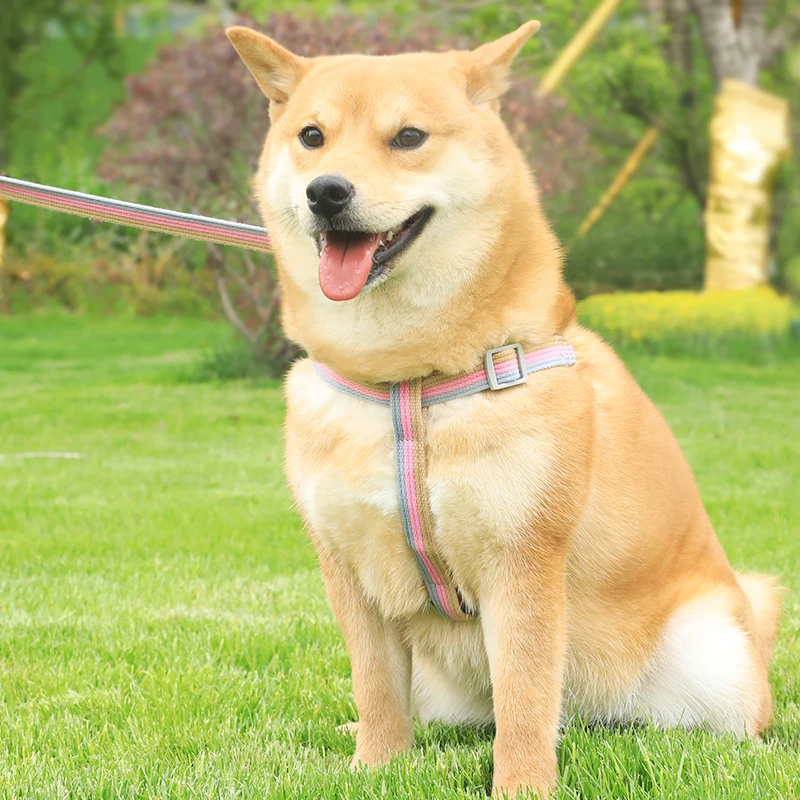 Собачья шлейка жилетка Регулируемый Щенок Кот прогулки ошейник и поводок