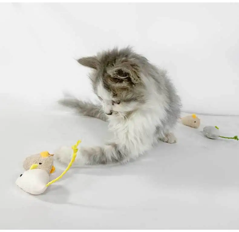 

Plush Catnip Mouse Cat Toy, Scratch-resistant and Bite-resistant, Teasing Cat Interactive Kitten Toy