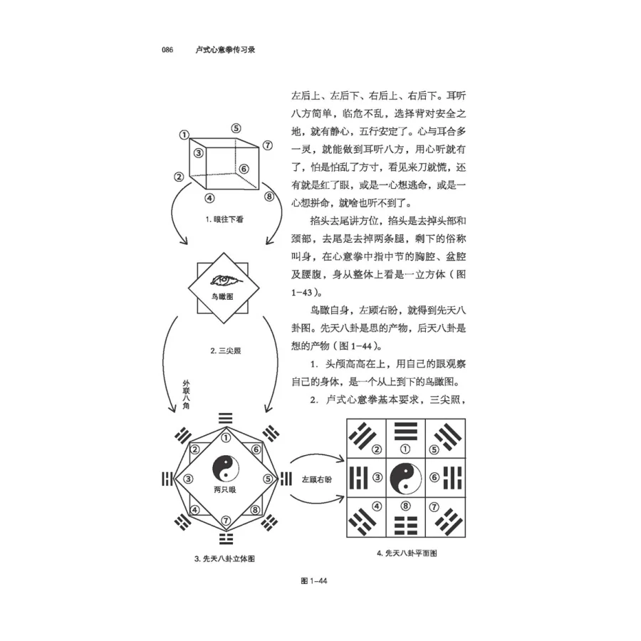Биография стиля Lu Xinyiquan Neijiaquan фитнес китайский ушу книги боевого