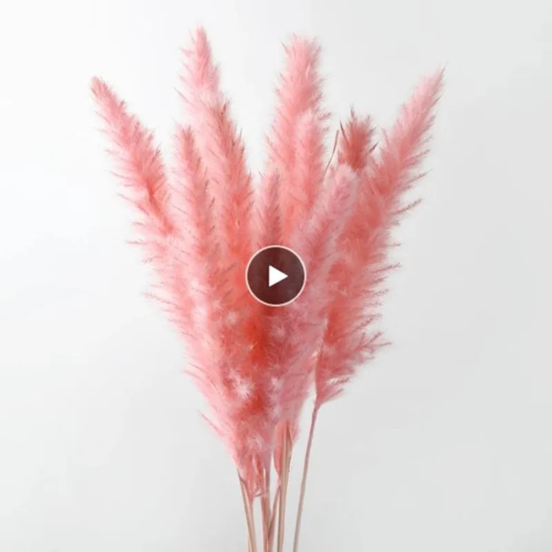 

10PCS Bulrush Natural Dried Flowers Artificial Plants Branch Pampas Grass Phragmites Fake Flower Wedding Vase Home Decor