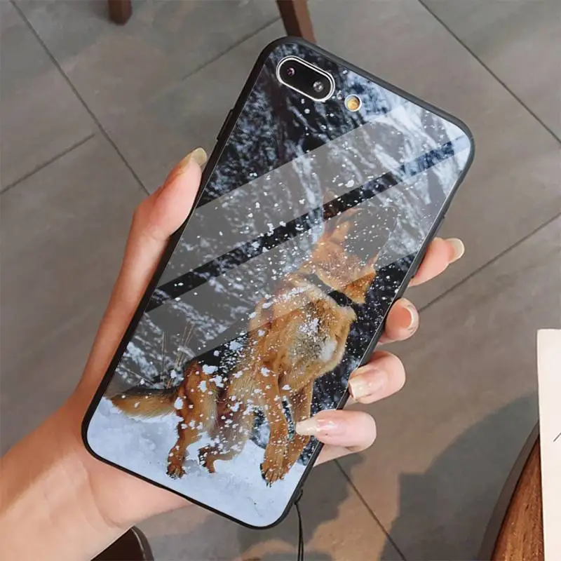 

German Shepherd Dog cute animal high quality Phone Case coque Tempered glass For iphone 5C 6 6S 7 8 plus X XS XR 11 PRO MAX