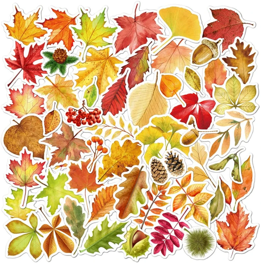 

Fall Leaf Stikcers 55PCS Thanksgiving Autumn Maple Leaves Pine Nuts Waterproof Vinyl Stickers for Kids DIY Water Bottles Laptop