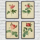 Античные ботанические художественные плакаты, винтажные цветочные рисунки, розы для гостиной, домашняя крафт-бумага