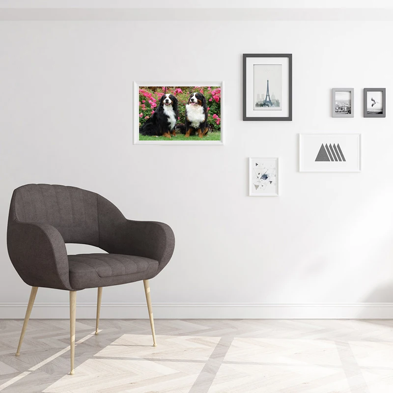 DIY 5D алмазная картина Бернская горная собака Алмазная вышивка крестиком животное