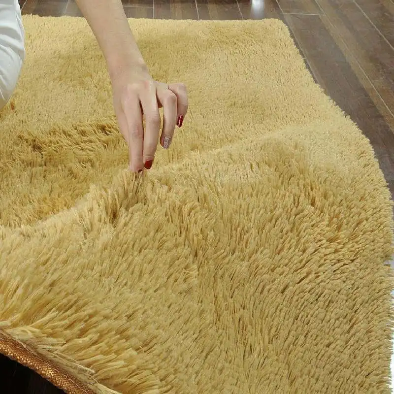 

Modern Carpet for Living Room Bedroom Long Plush Soft Carpets Anti-slip Floor Mats Water Absorption Rugs Home Decor