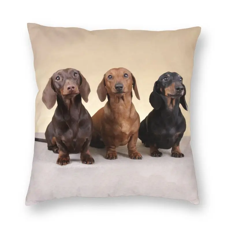 

Детская подушка 40x40 см, украшение, 3D печать, барсук, сосиска, надувная подушка для собаки, для автомобиля, двусторонняя