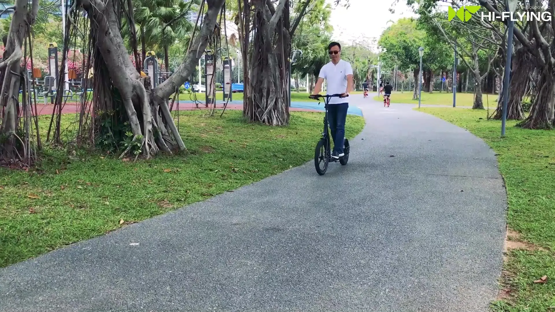 

Electric adult scooter 350W 36V 10AH ecoflying electric scooters free shipping big electric scooters