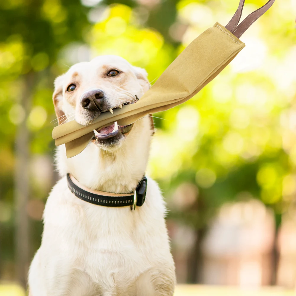 Durable Dog Bite Tug Toy Cute Dogs Chew Toys Beef Suede Pet Training Products Small Large Biting Playing Teeth Cleaning | Дом и сад