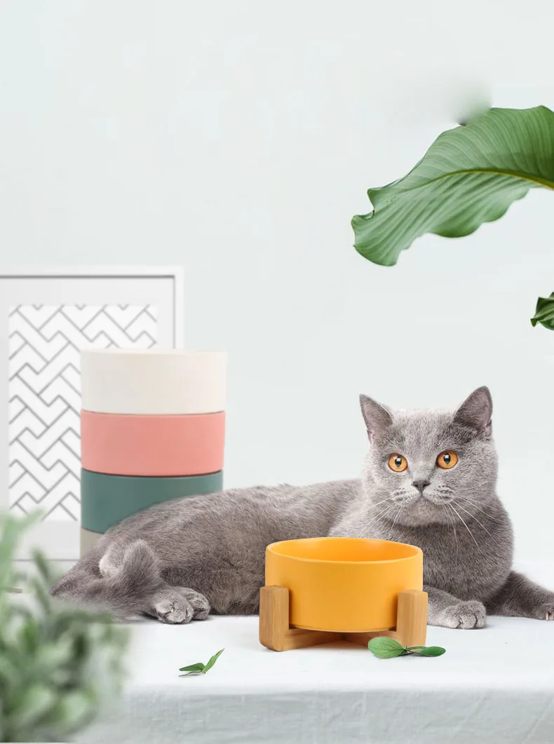 

Аксессуары Для кормления домашних животных, двойная керамическая Миска Для воды, Аксессуары Для Кошек разных цветов