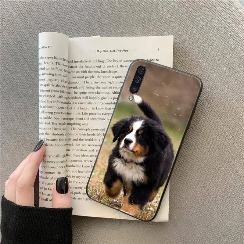 

Bernese Mountain Dog Phone Case For Samsung galaxy A S note 10 7 8 9 20 30 31 40 50 51 70 71 21 s ultra plus