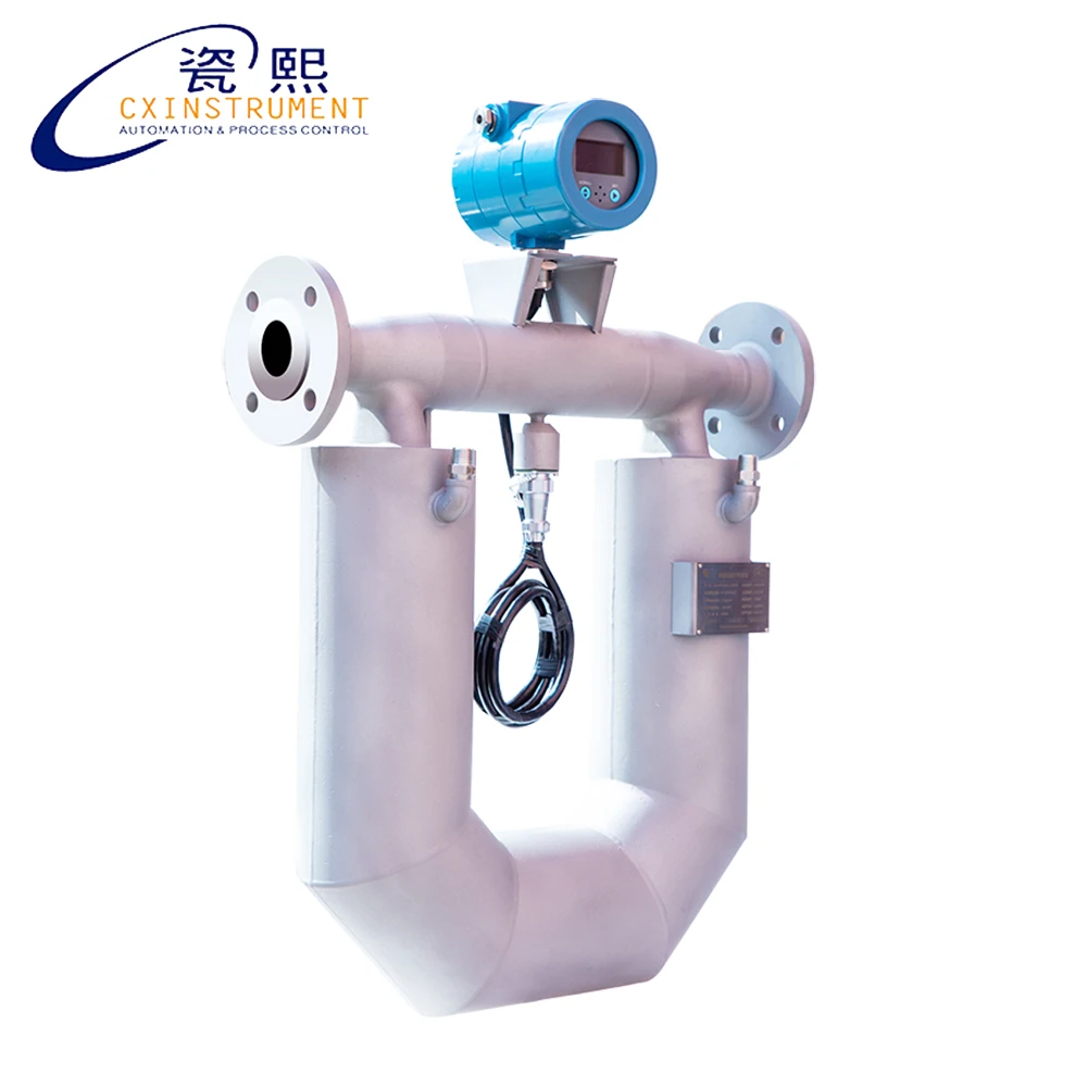 DN2 Coriolis массовый расходомер интеллектуальный цифровой кориолис жидкое