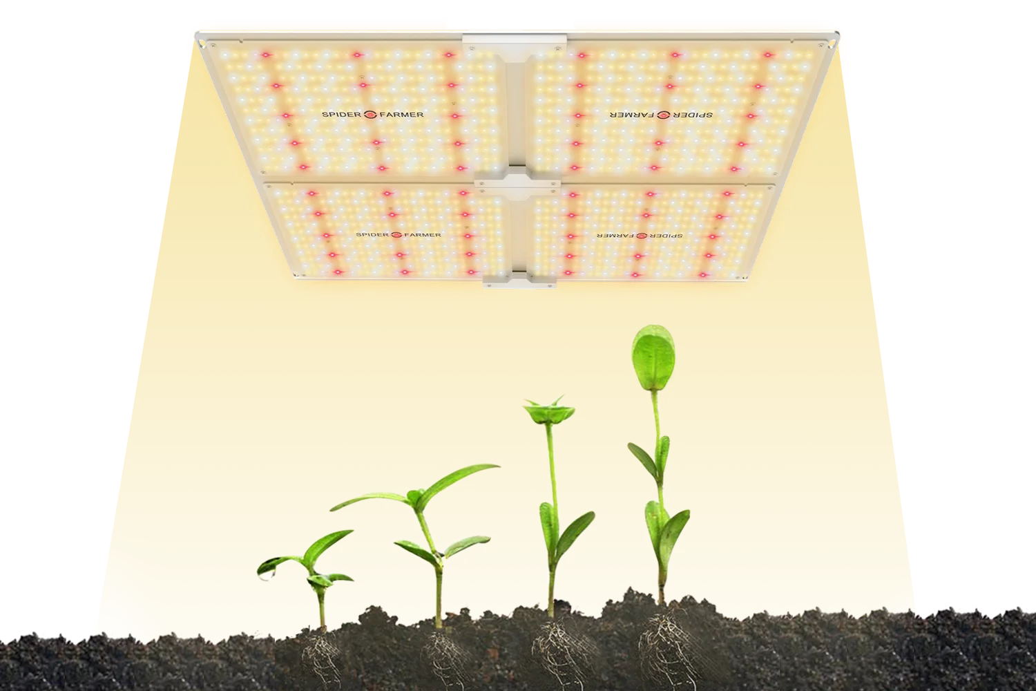 Растущие лампы Led Grow Light 4000 Вт паук фермер Квантовая доска полный спектр для выращивания растений samsung LM301B Meanwell