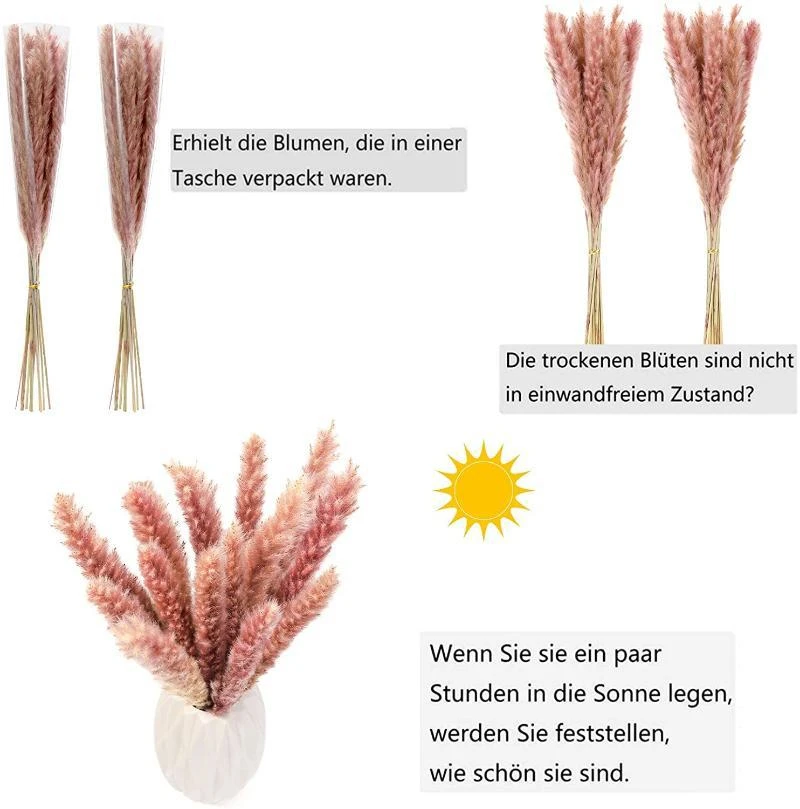 

60pcs Pantas Sechees Naturelles Dekoration Pampas Grass Flower Reeds Dry Bulrush Bouquet Phragmites Home Decor Decoration
